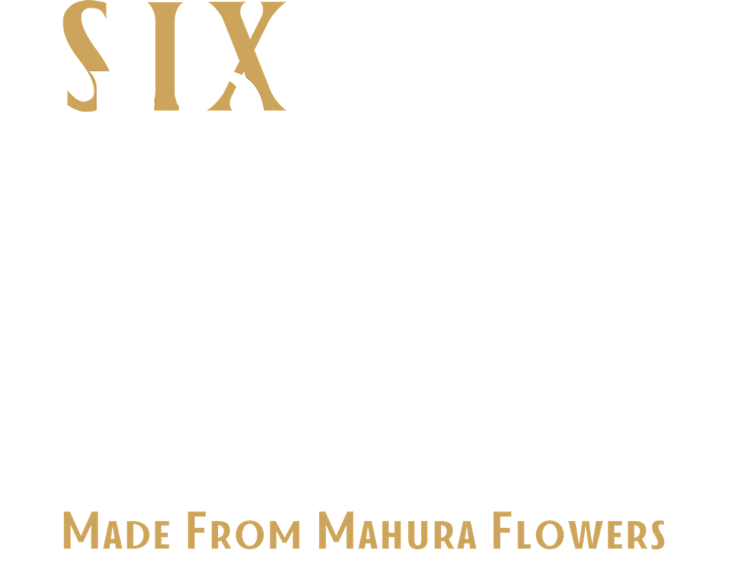 Six Brothers 2